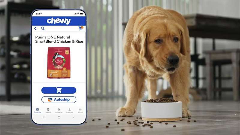 Cover image for Chewy Pet and Toy Sales and Care | React Native