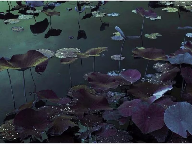 Cover image for Digital Presence Superstar System