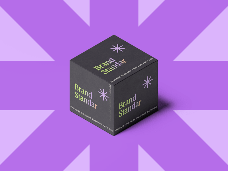 Cover image for Brand Standar Package