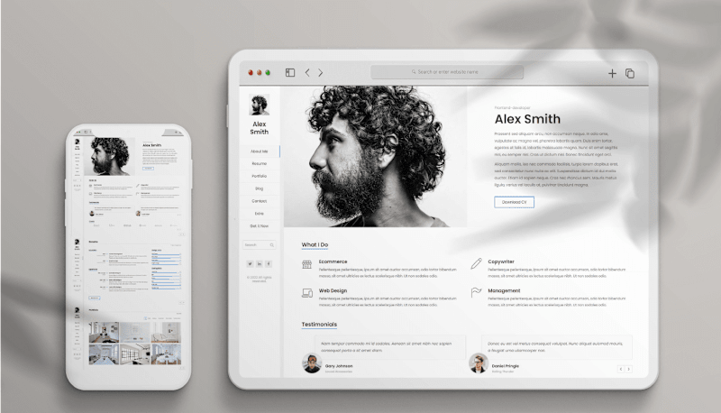 Cover image for Web Designing of a Portfolio / Resume