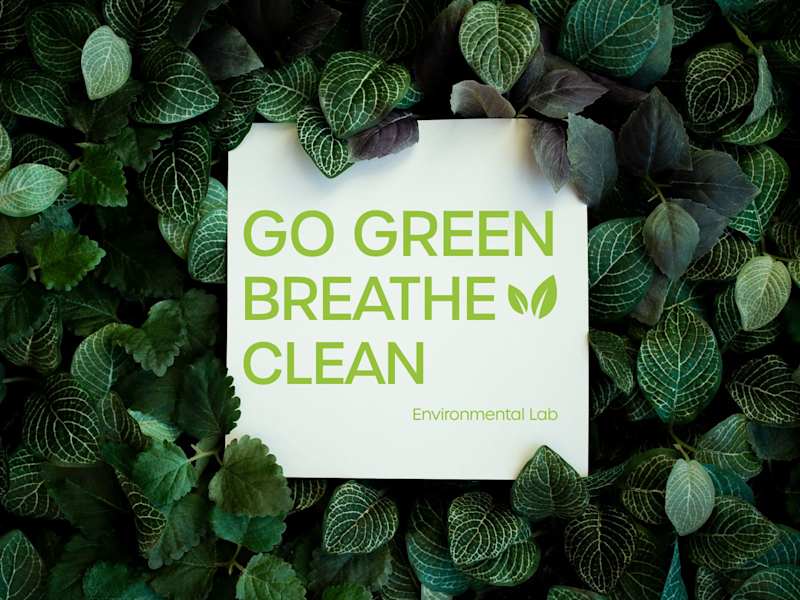 Cover image for Environmental Lab