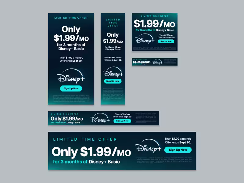 Cover image for Display Advertising Specialist: Eye-Catching Ad Designs