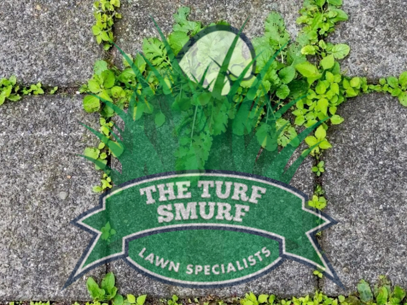 Cover image for Case Study (The Turf Smurf) — Bulletinbox