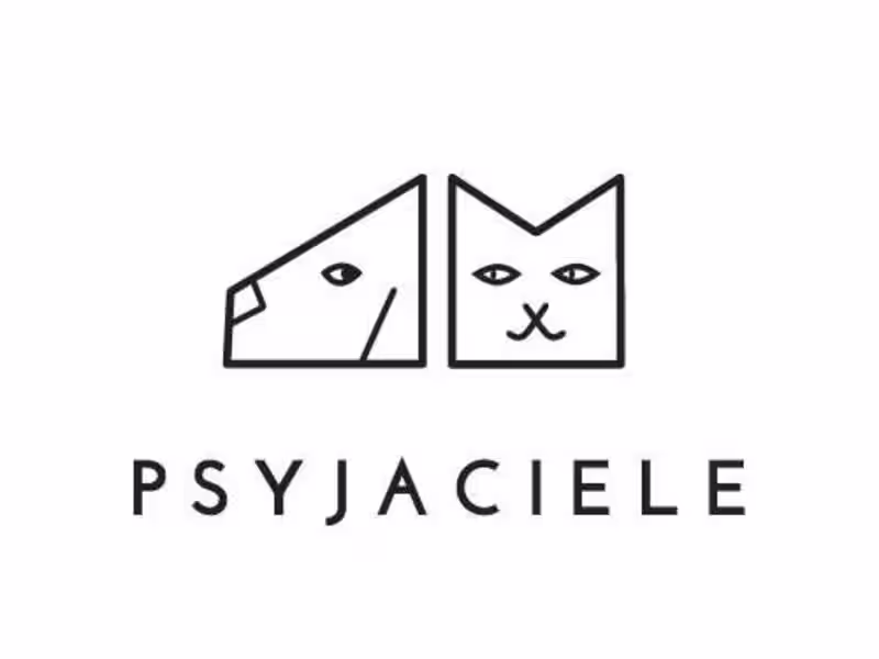 Cover image for Psyjaciele E-commerce