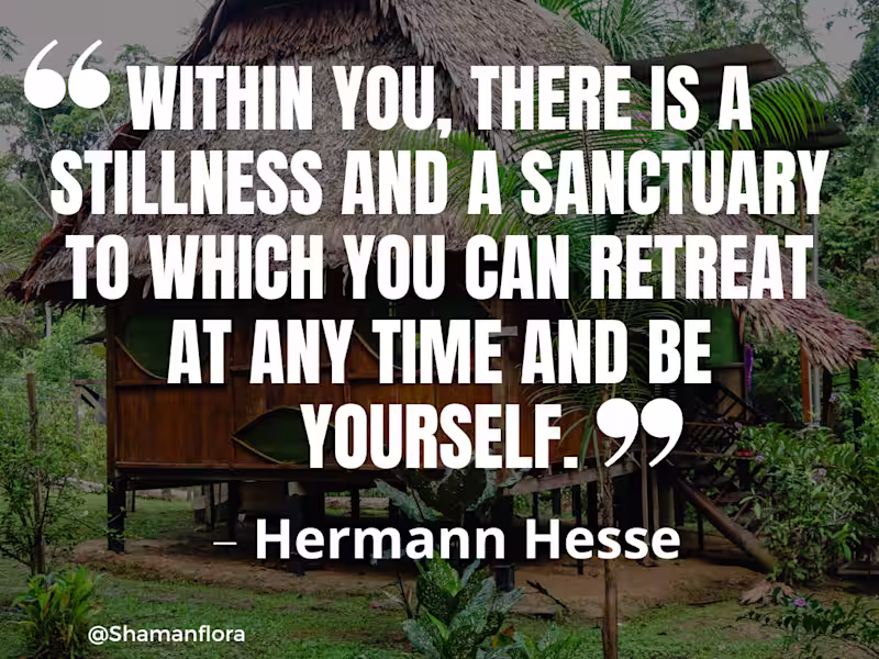 Cover image for Social Media Marketing for Shamanflora- Healing center in Amazon