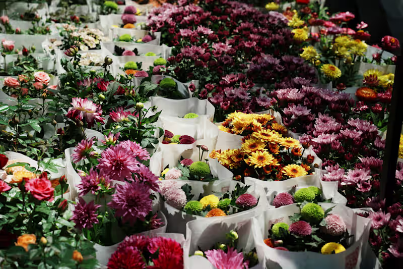 Cover image for Flower delivery Market Research