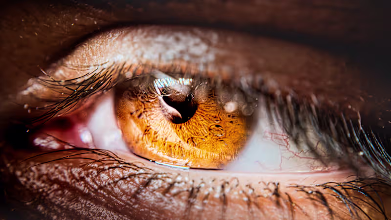 Cover image for Cinematic & Atmospheric Photography