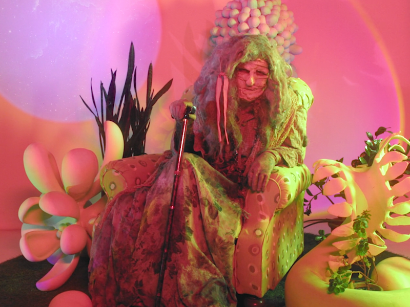 Cover image for Claywoman: Thoughts on Earth