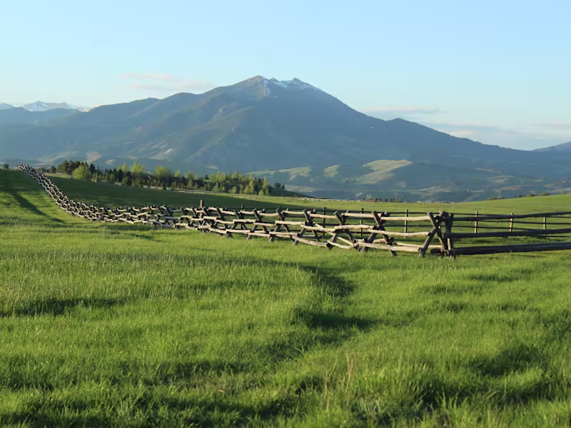 Cover image for Edible Bozeman Feature