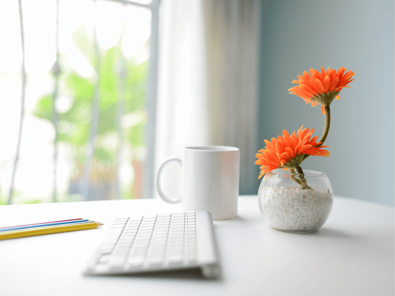 Cover image for Proactive and Seasoned Virtual Assistant - 15 Years Experience