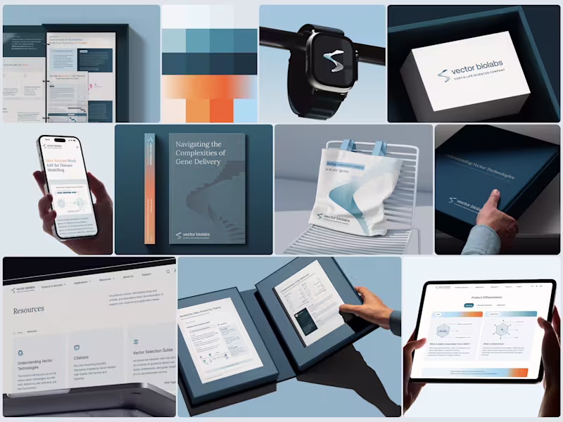 Cover image for Rebranding Project for Vector Biolabs