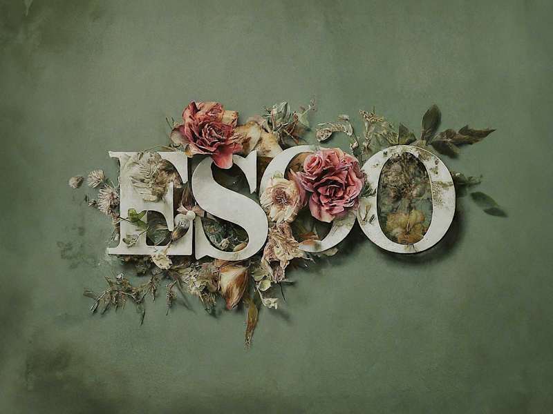Cover image for EstateSalesofOregon.com Branding + Online Identity