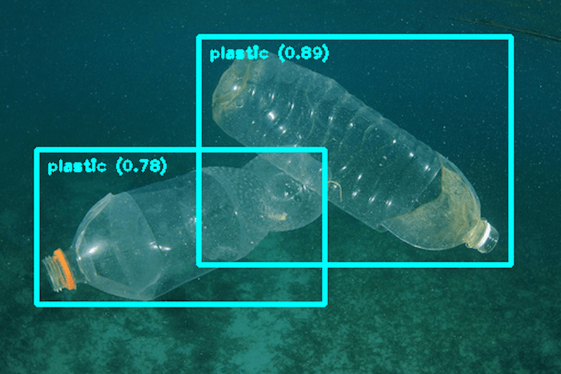 Cover image for Underwater object detection for plastics and fishes
