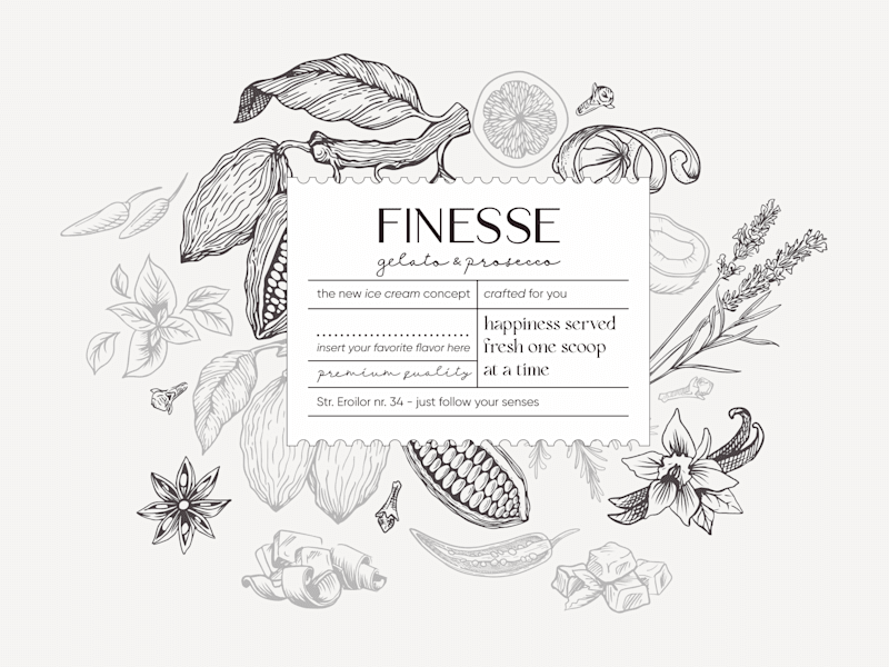 Cover image for Finesse - Visual identity