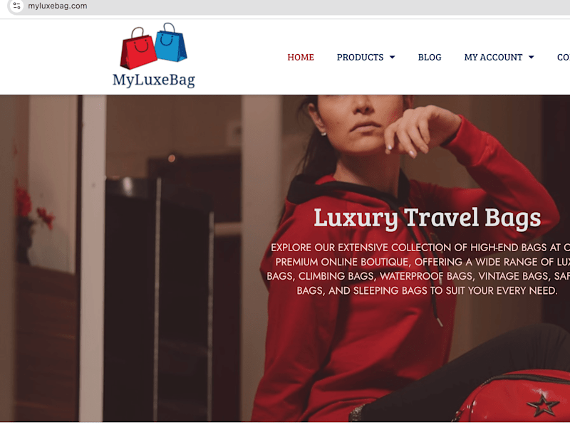 Cover image for Luxury Travel Bags