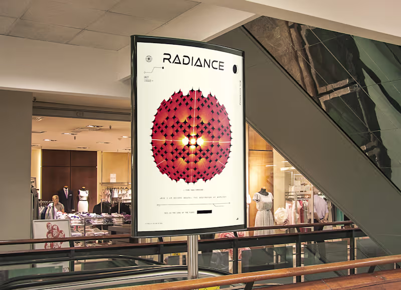 Cover image for Radiance 