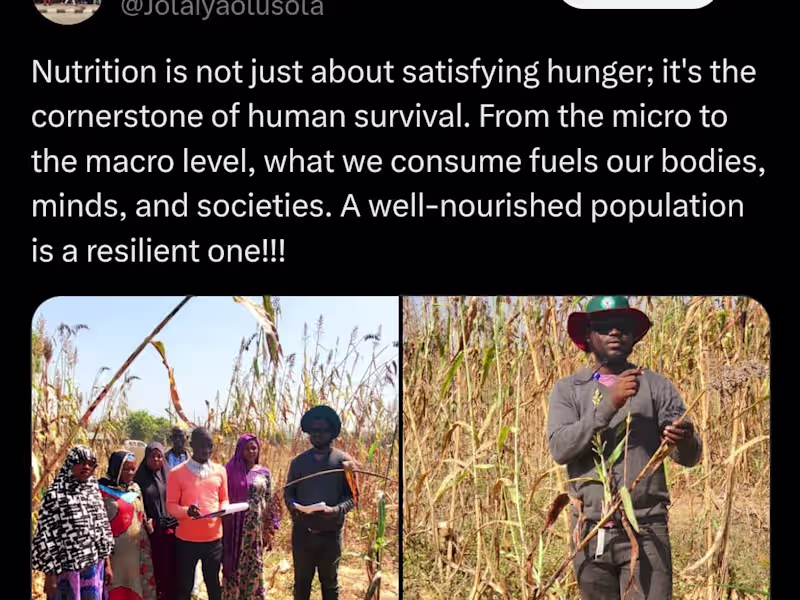 Cover image for Olusola jolaiya📭 on X: "Nutrition is not just about satisfying…