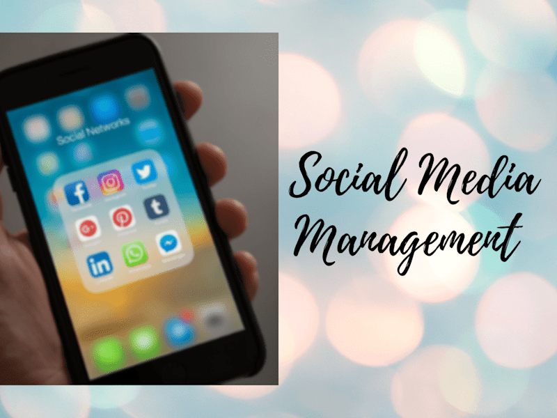 Cover image for Social Media Management 
