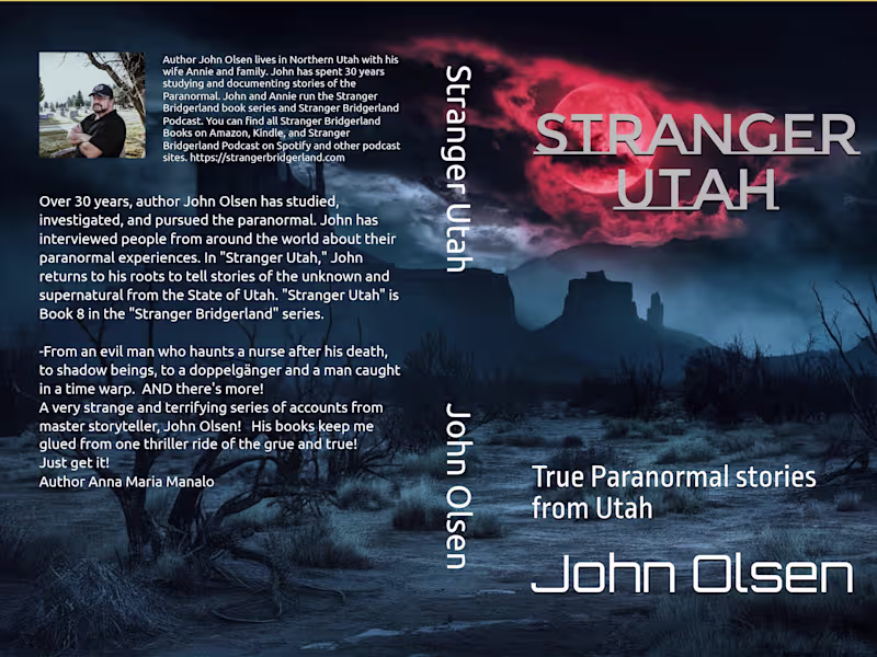 Cover image for Stranger Utah