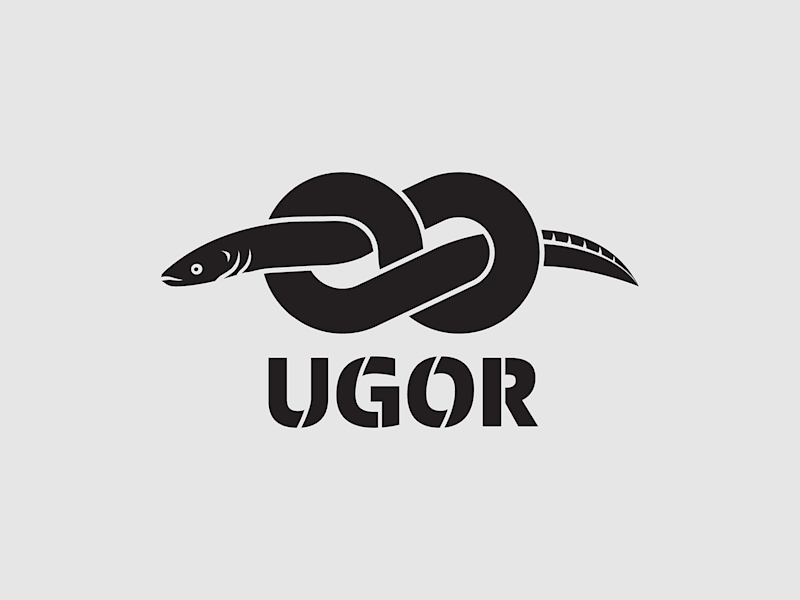 Cover image for Ugor - High-Rise Work Branding