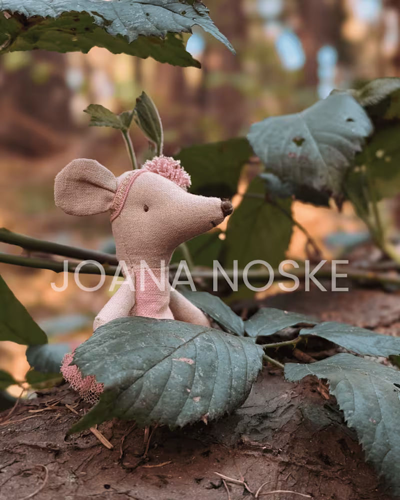 Cover image for UGC photo example