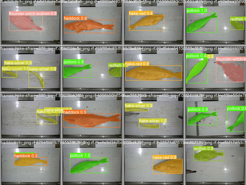 Cover image for AI-Boosted Fish Discard Chute (Research Paper)