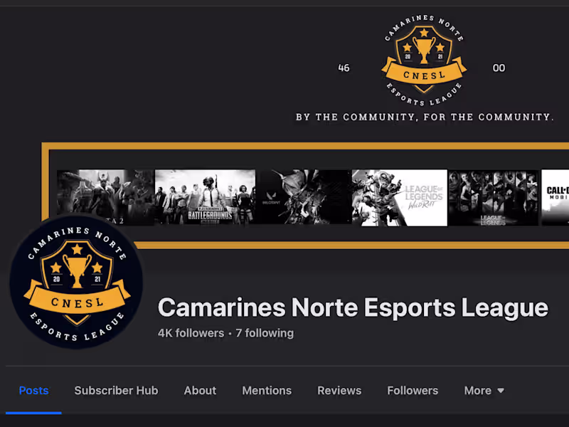 Cover image for Project Manager