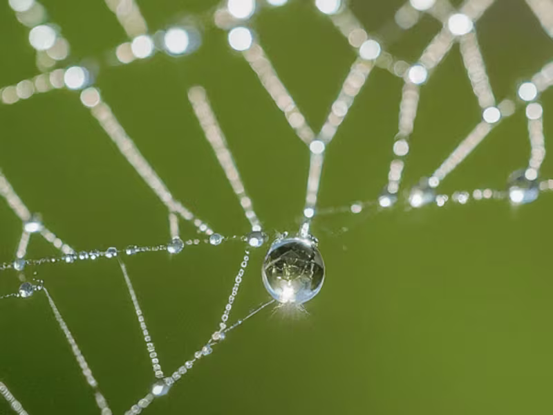 Cover image for Taxi Booking Application