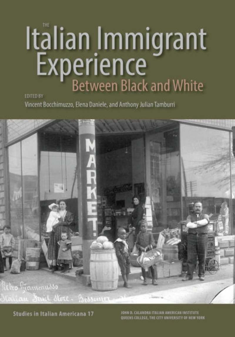 Cover image for The Italian Immigrant Experience: Between Black and White