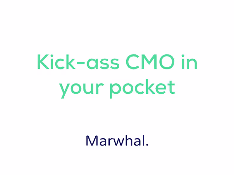 Cover image for CMO accountability partner