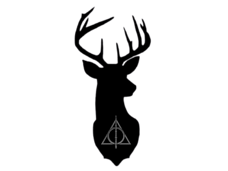 Cover image for Patronus