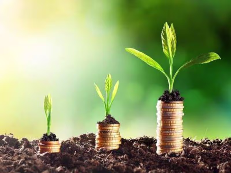 Cover image for Digital Marketing Solutions for Brand Visibility and Growth.