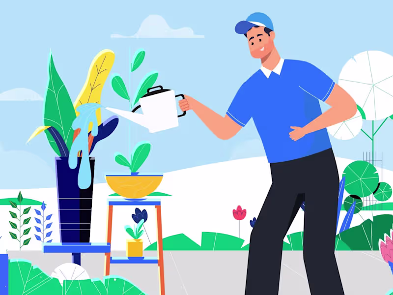 Cover image for THE ENVIRONMENT | Explainer video