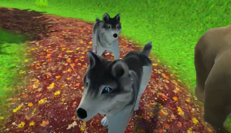 Cover image for Animal Excursion
