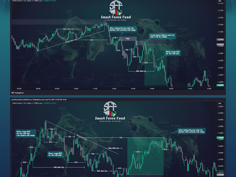 Cover image for Forex Trading Mentorship