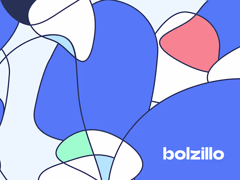 Cover image for Creating Bolzillo: a Branded and Funky E-wallet