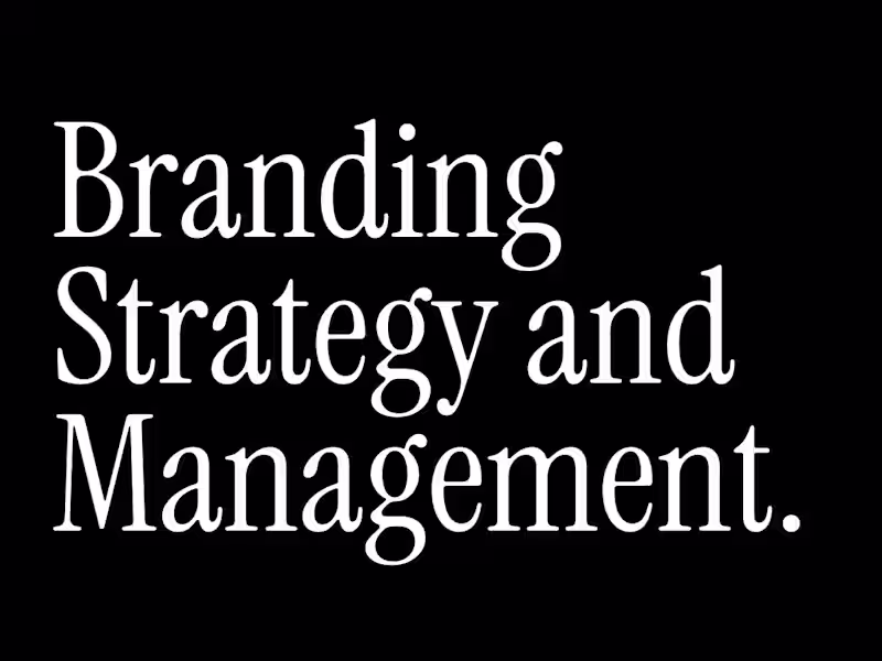 Cover image for Brand Management