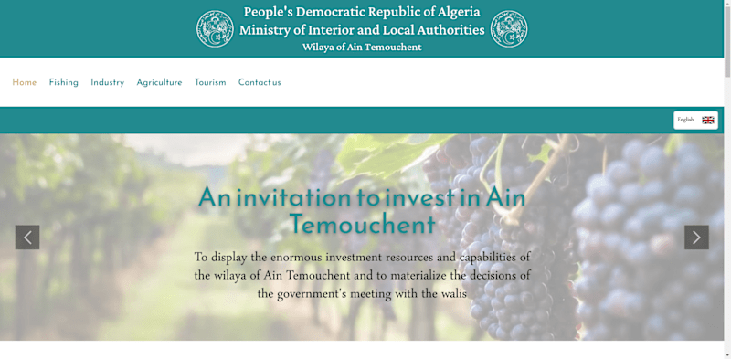 Cover image for A call to invest in Ain Temouchent
