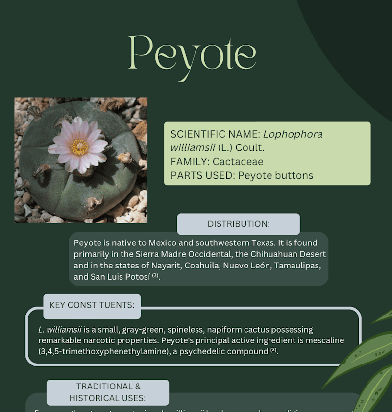 Cover image for Blog writer