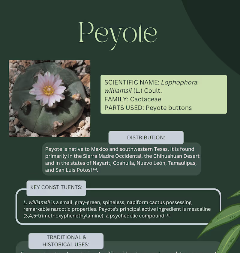 Cover image for Blog writer