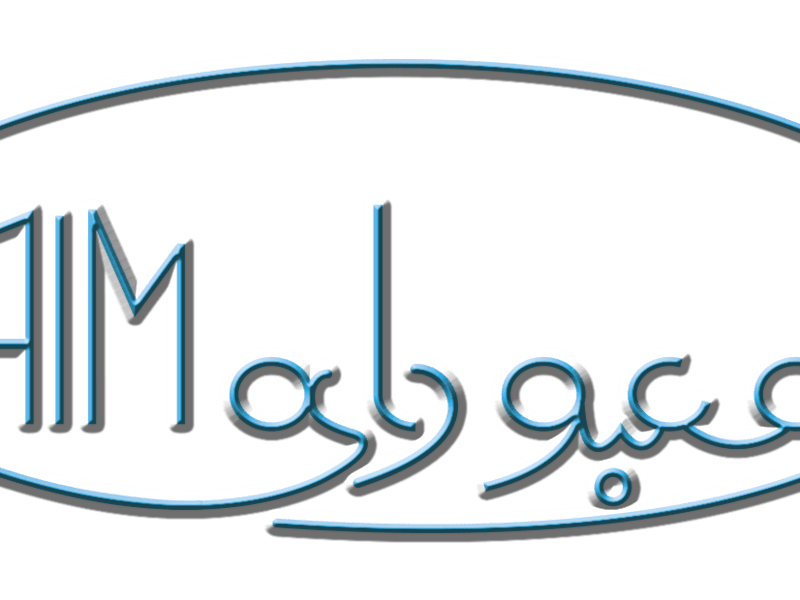 Cover image for Designer
