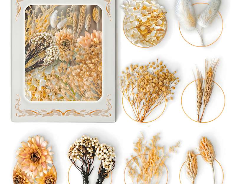 Cover image for Springsy - Product Listing Creation