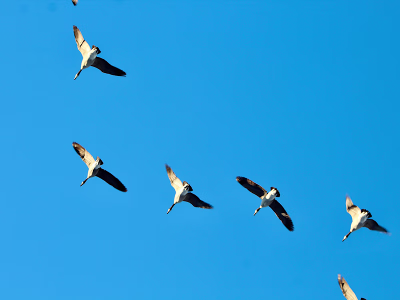 Cover image for Writer: SEO, Technical, Journalism, Marketing, and more