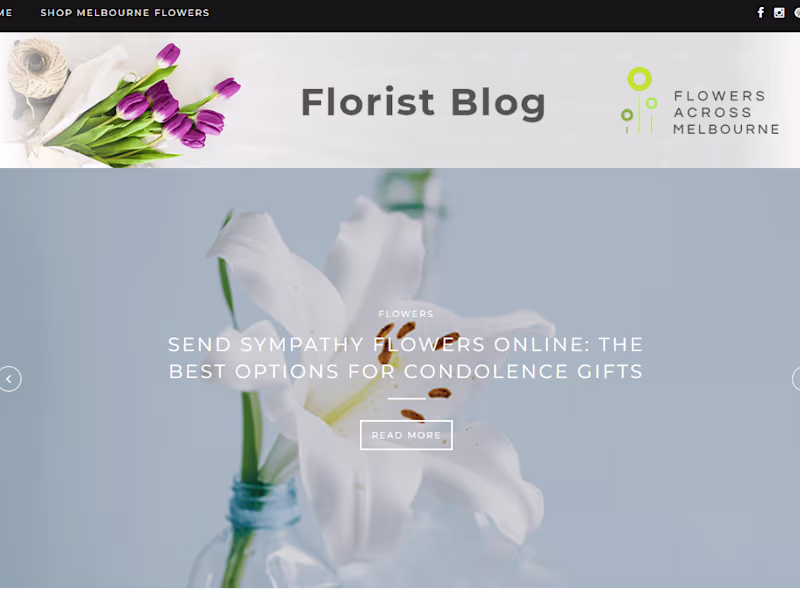 Cover image for SEO Co-Ordination Project