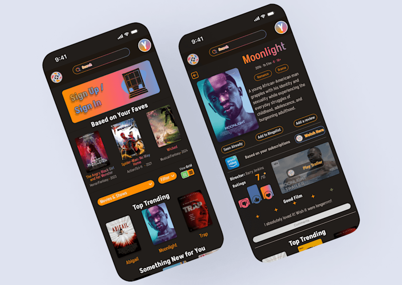 Cover image for CineNet Streaming Platform Design