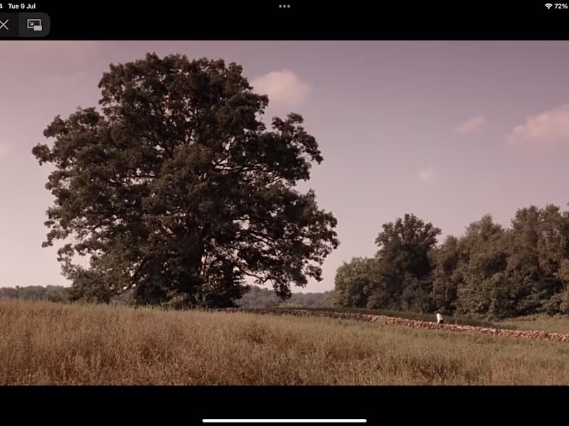 Cover image for Lumina Site Design