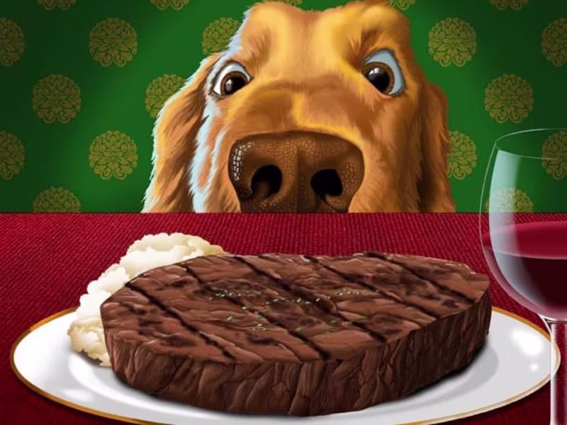 Cover image for Pet Food Packaging