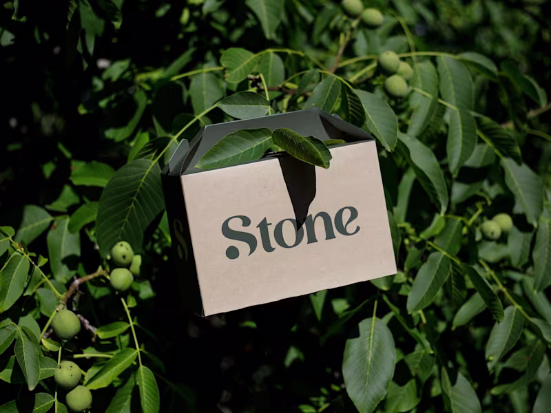 Cover image for Logo and Branding that is memorable and timless