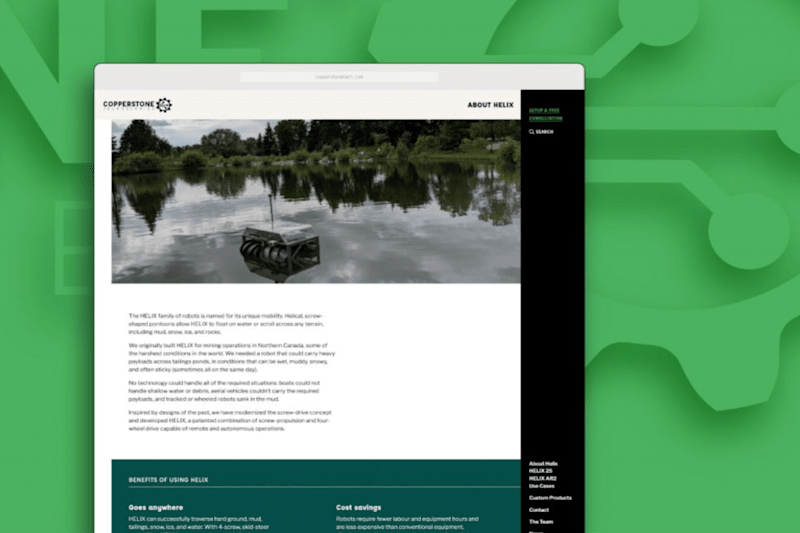 Cover image for Copperstone Technologies Website