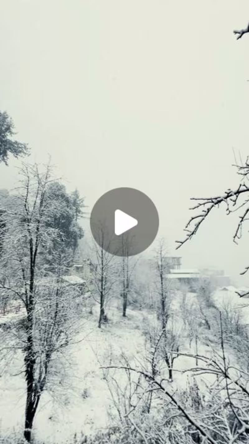 Cover image for Sahil on Instagram: “POV:You just woke up, and it's snowing🌨️"